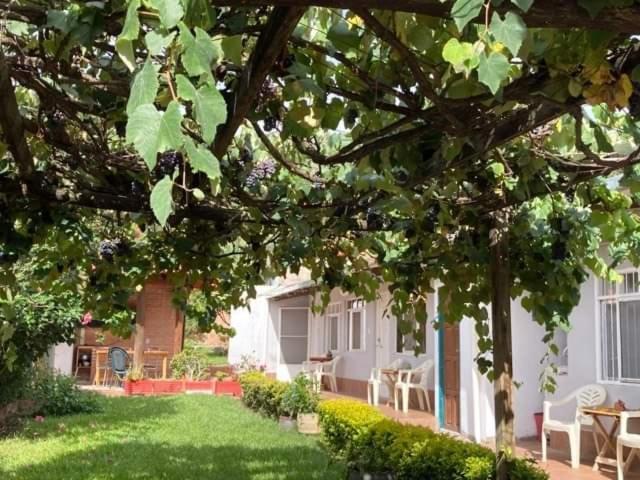 Samailandia Backpack Hotel Samaipata Ngoại thất bức ảnh